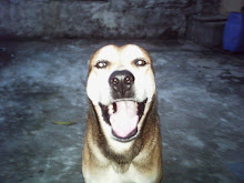 My Photo