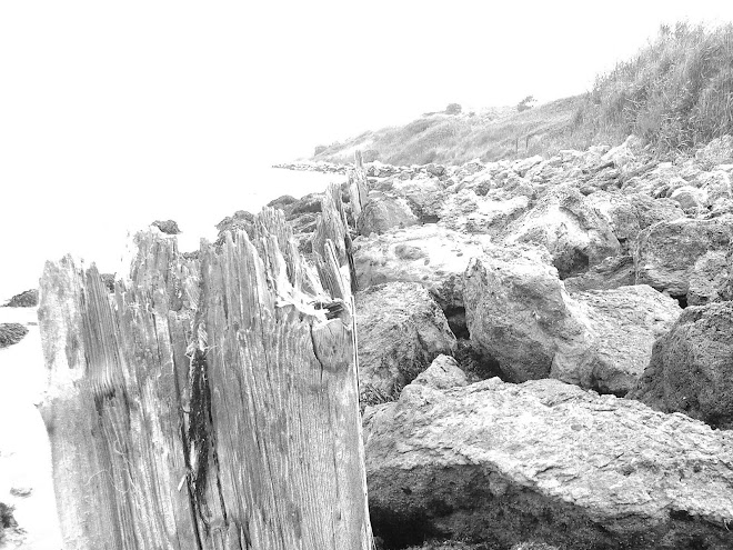 ROCKS AND WOODEN POST