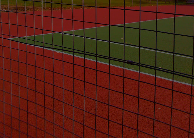 MORE OF THE TENNIS COURT AND FENCE