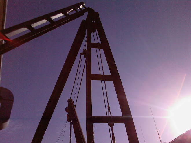 BOAT CRANE
