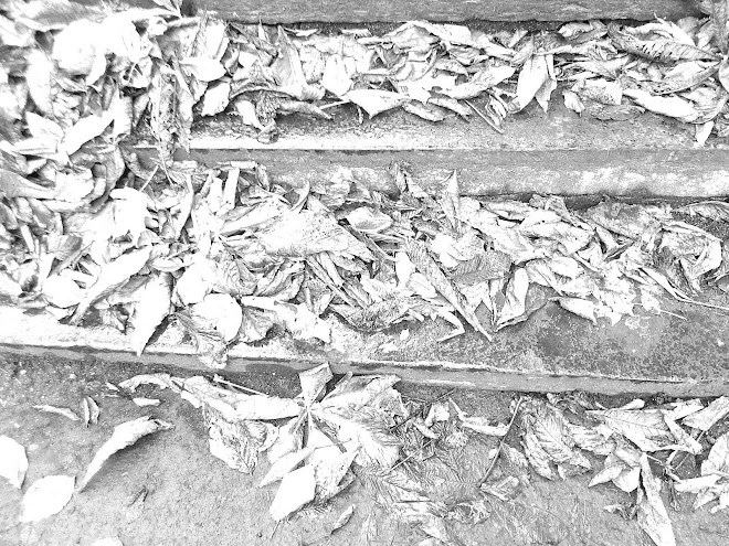 DEAD LEAVES ON STEPS