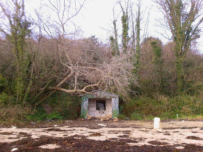 HUT AT CASTLE COVE