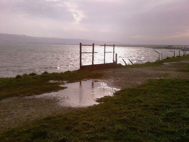 RUSTED RAILS NEAR FERRYBRIDGE