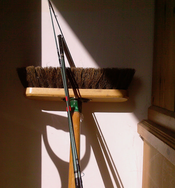 FISHING ROD AND BROOM