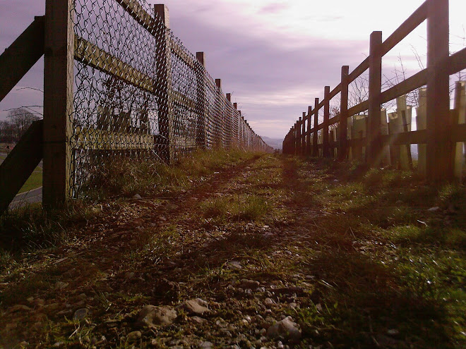 PATH BETWEEN FENCES