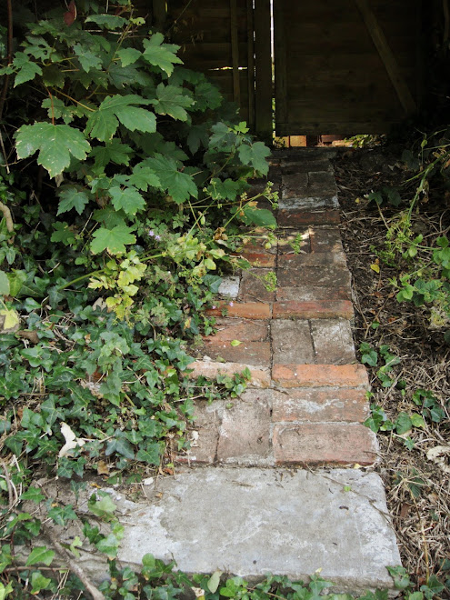 PATH TO A BACK GATE