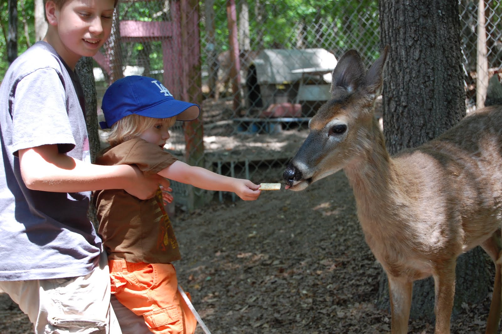 Erin,Ben,and 4 Little Men Yellow River Game Ranch
