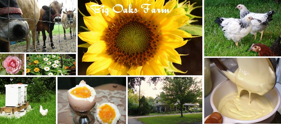 Big Oaks Farm