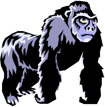 [800+lb+gorilla.gif]