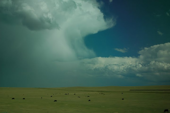 Wyoming Thunderstorm