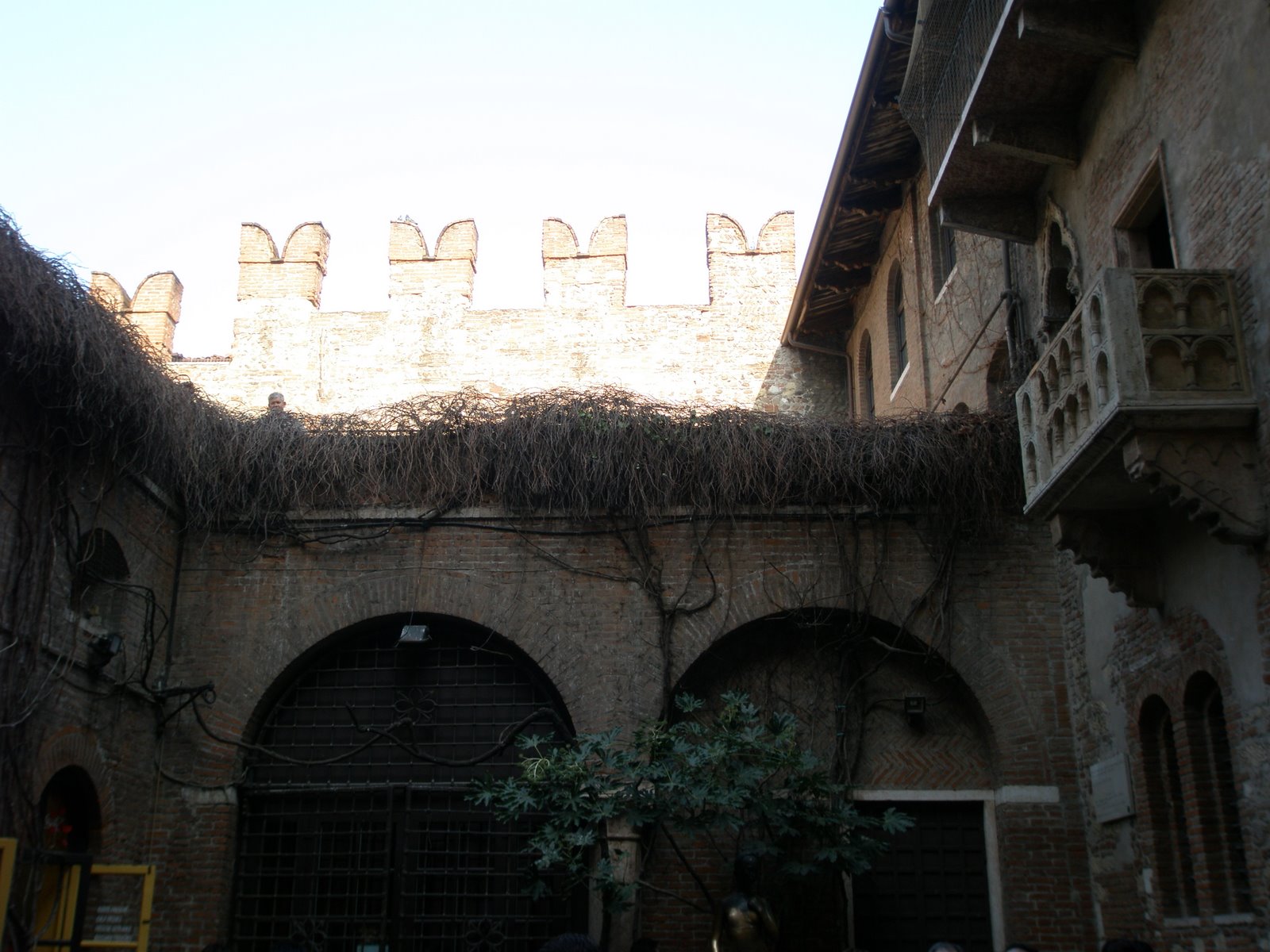 [P2190273.JPG]