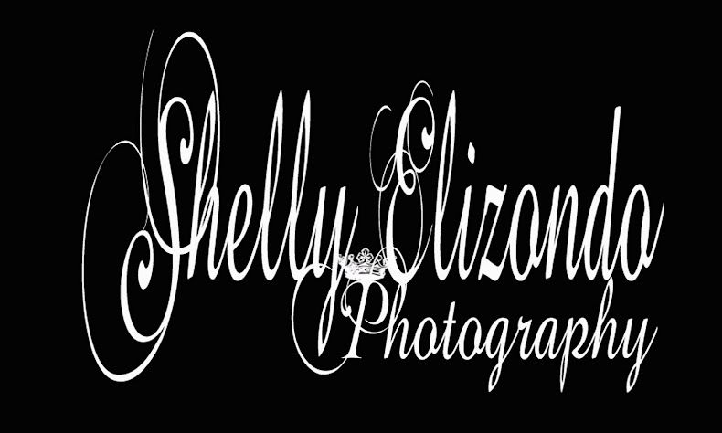 Shelly Elizondo Photography
