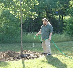 Watering a growing Tree