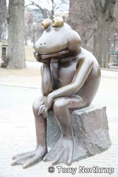[Frog-thinking.jpg]