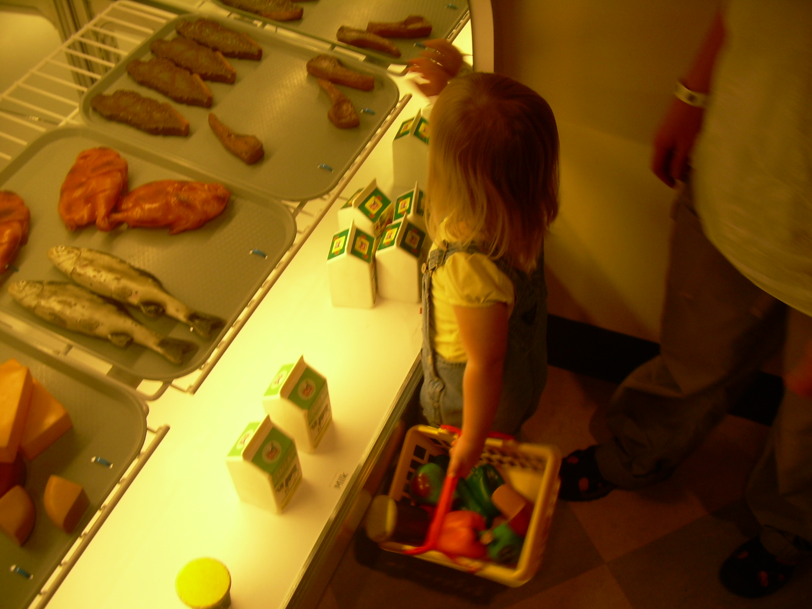 [DSCN2310.JPG]