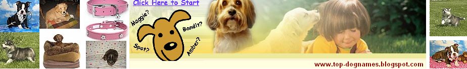 Male Dog Names