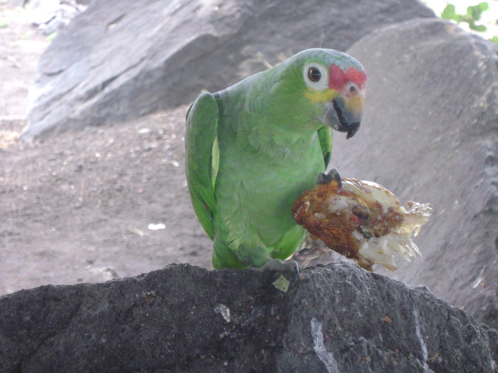 [DSC00094.JPG]