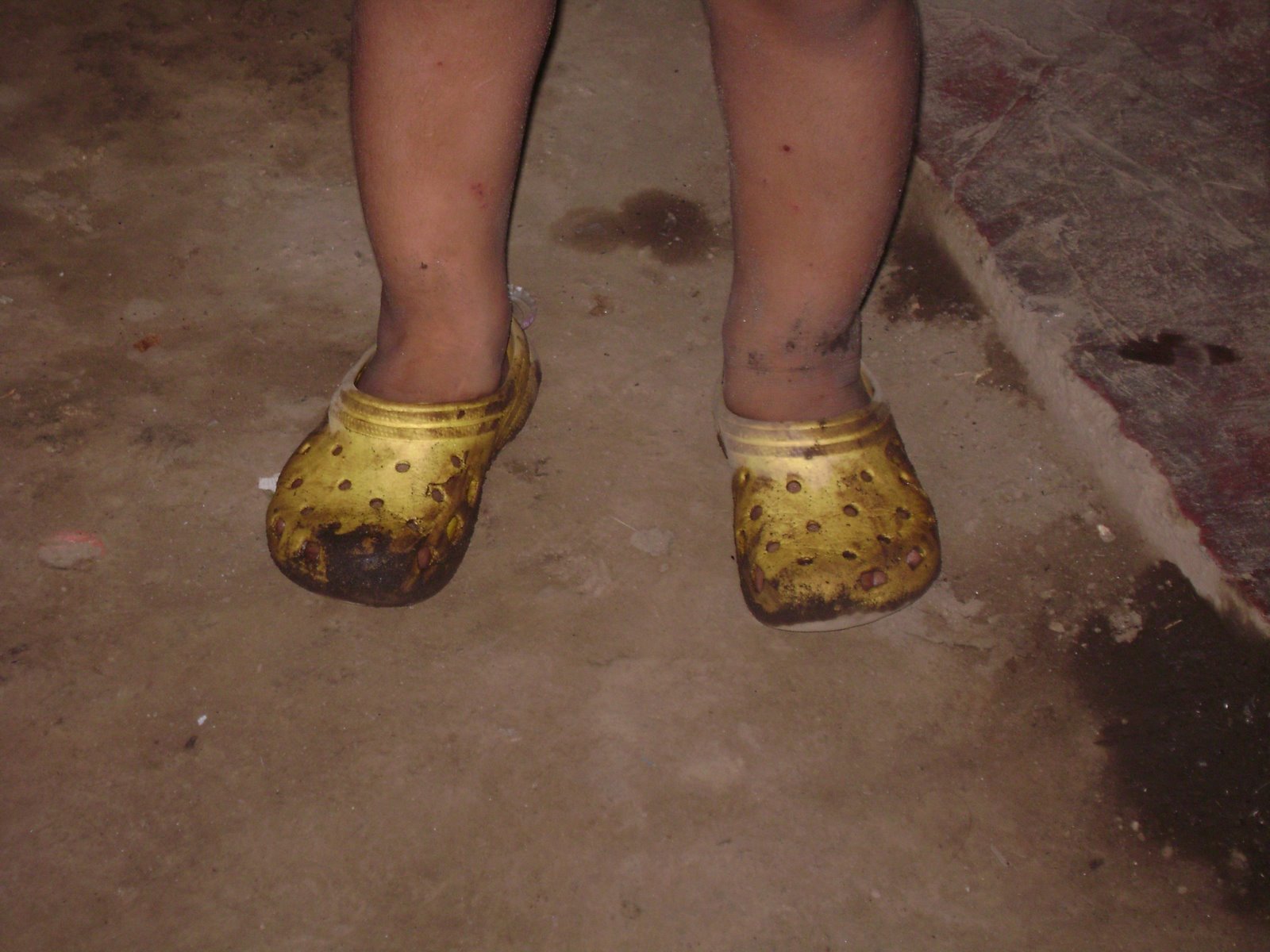 [DSC00017.JPG]