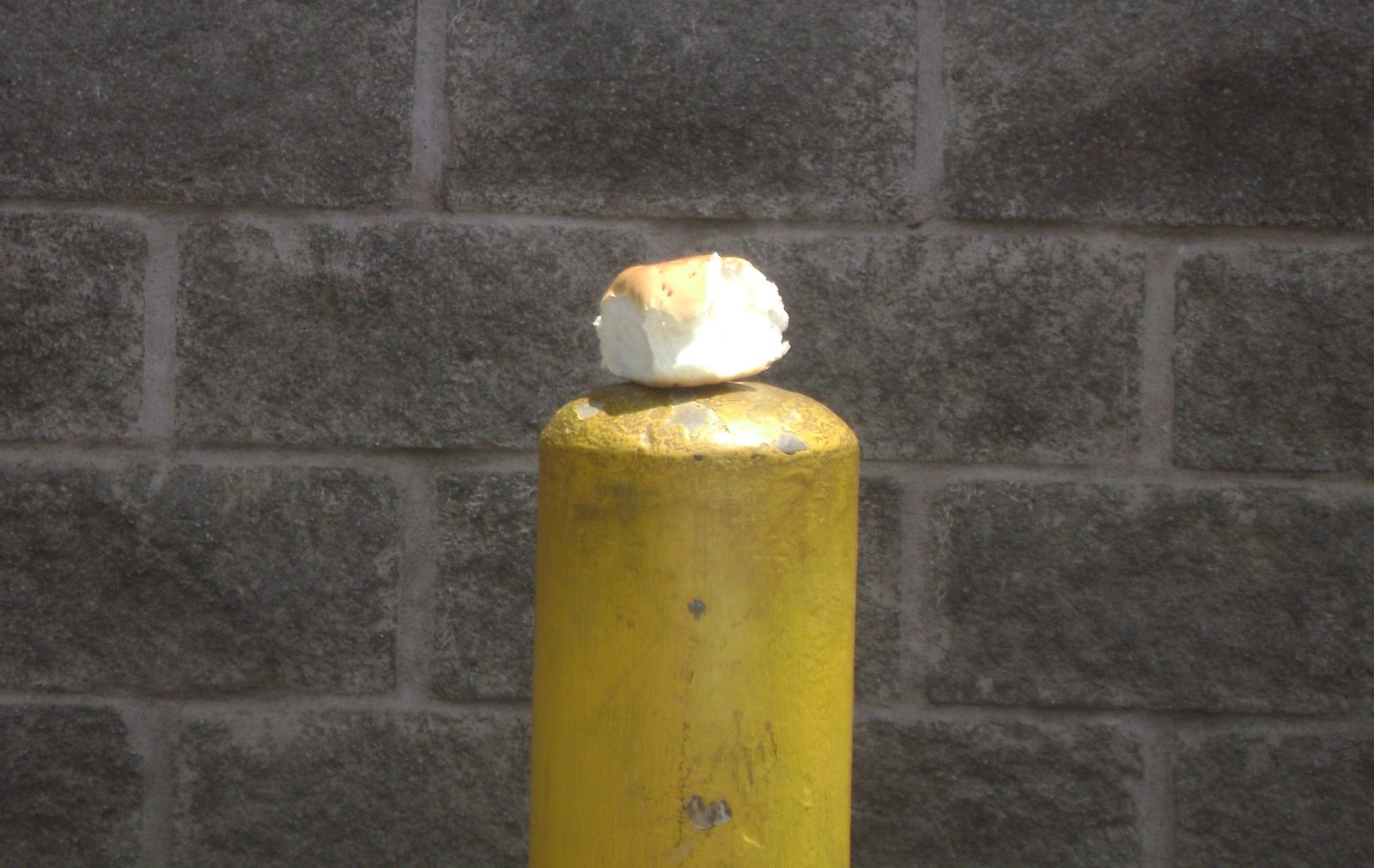 [DSC00005.JPG]