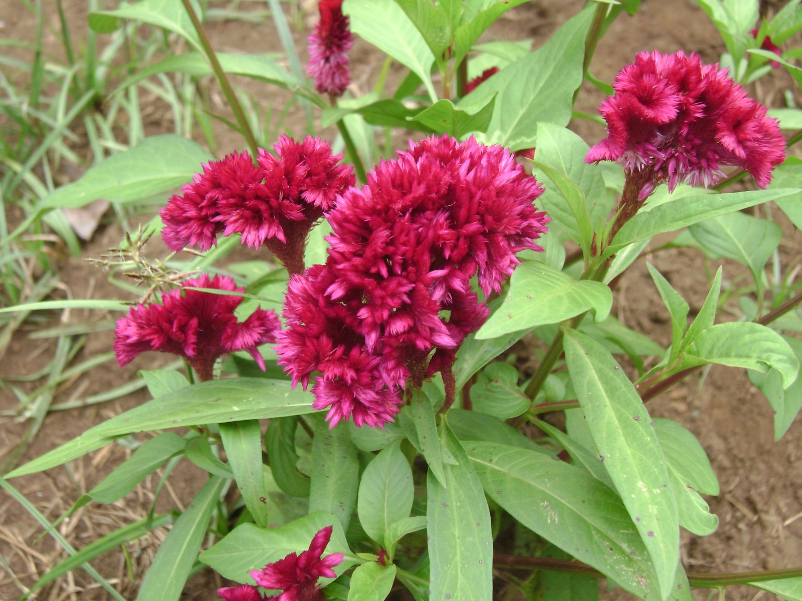 [DSC00023.JPG]
