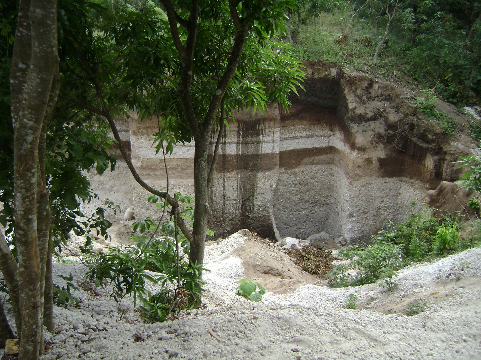[DSC00006.JPG]