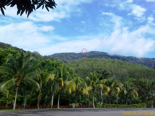 pemandangan kaki gunung ledang