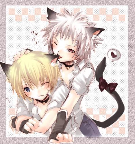 Neko-Boys-anime-animal-guys-3835861-467-500.jpg