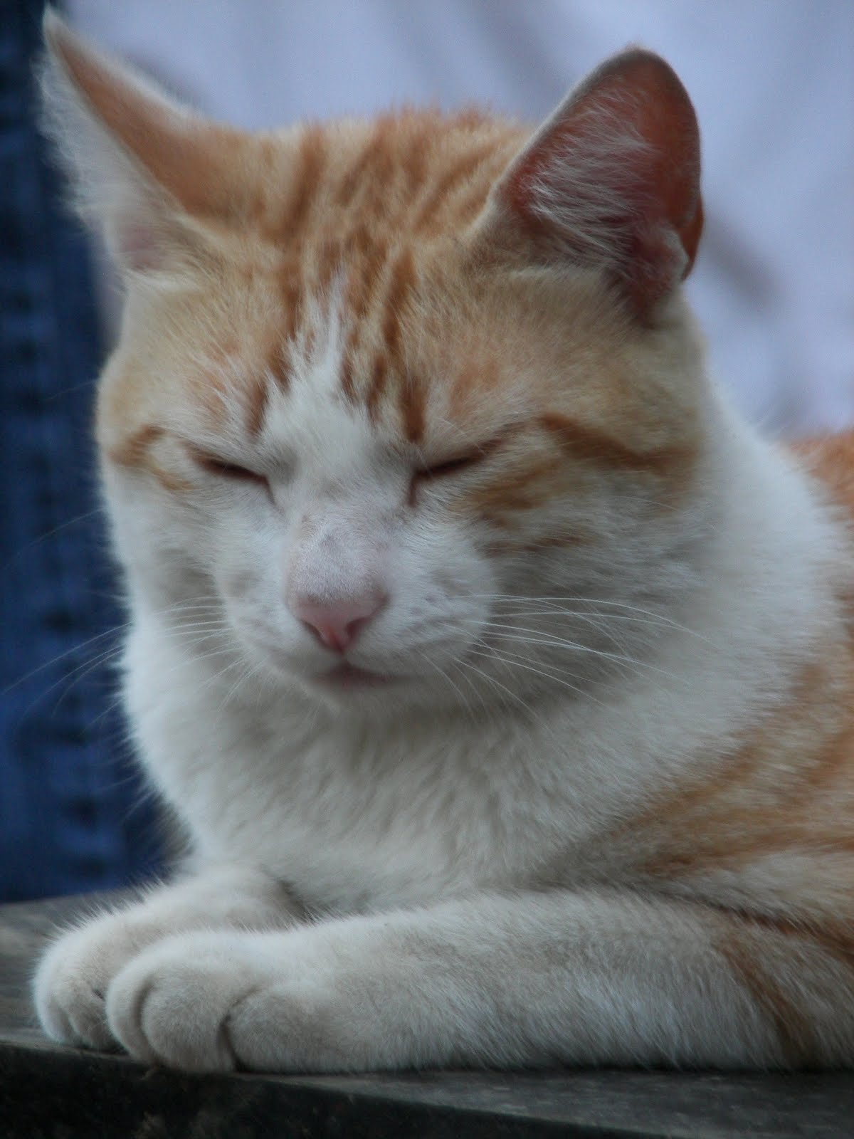 Delireyazdım Ocak 2010