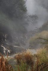 Hot spring - Waimangu Thermal Park