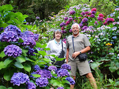 Lavene and Cheri at Wellington Botanical Gardens