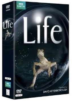 [Life.jpg]