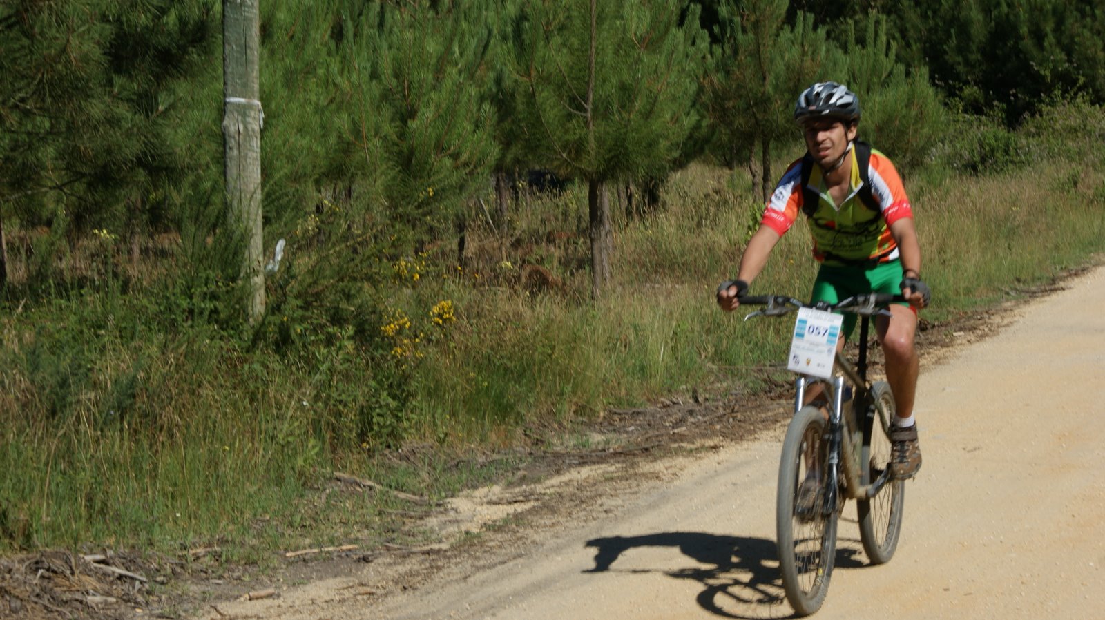 [bttsosense+dmings.jpg]