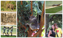 Australia Zoo, Australie