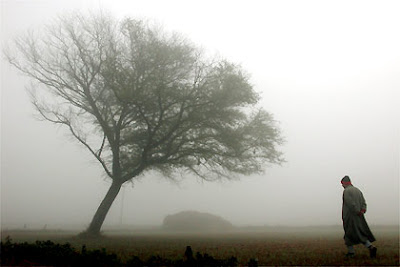 http://3.bp.blogspot.com/_ZzX7NqlC_2Y/SAPZOq1rDWI/AAAAAAAAAEo/O1NrkKUNlNk/s400/NEBLINA.jpg