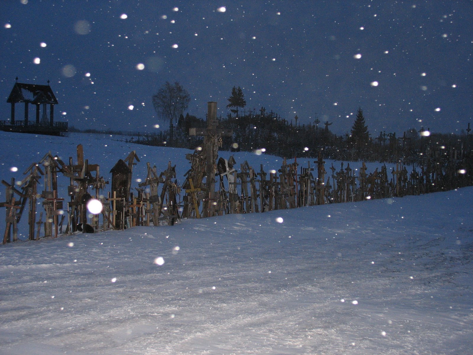 [IMG_5530.JPG]