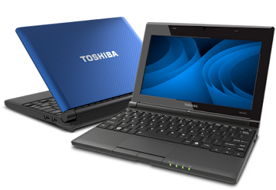 Toshiba NB505-1008B