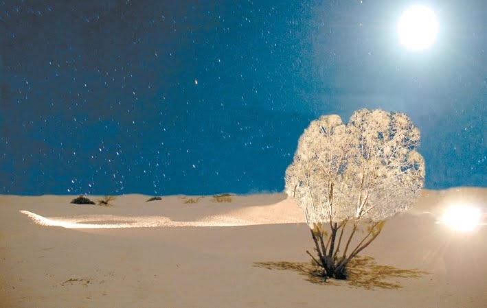 SANTIAGO CHAPARRO LOZADA Lluvia de estrellas en las Dunas de Bilbao