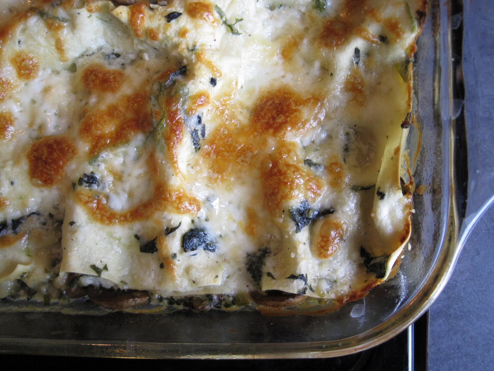 Some Kind of Delicious White Sauce Mushroom Lasagna