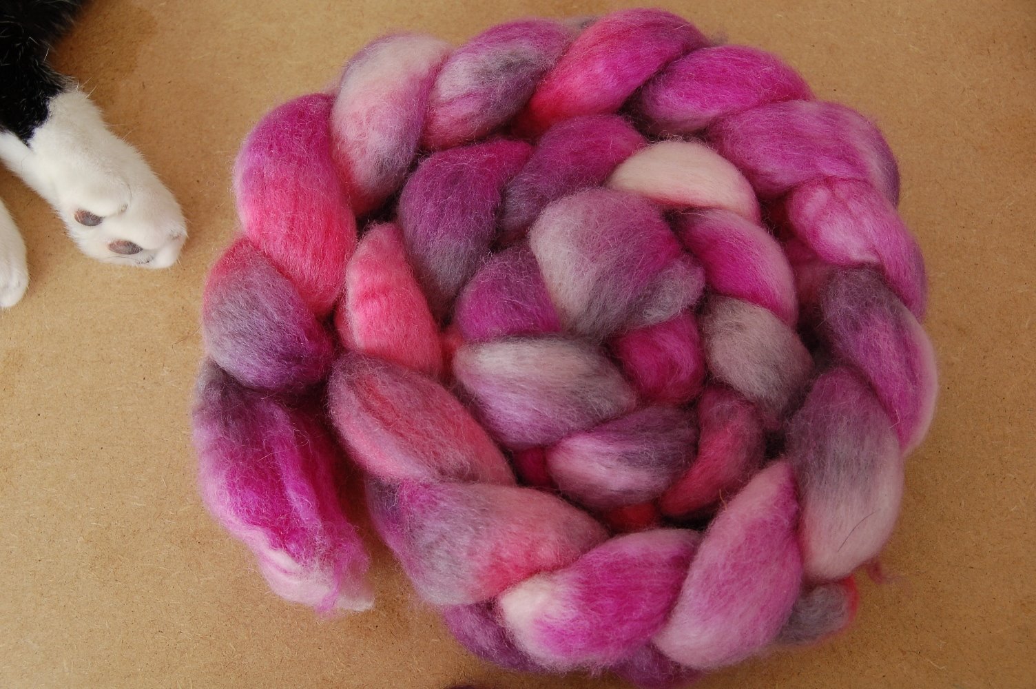 [may09dye+030.JPG]