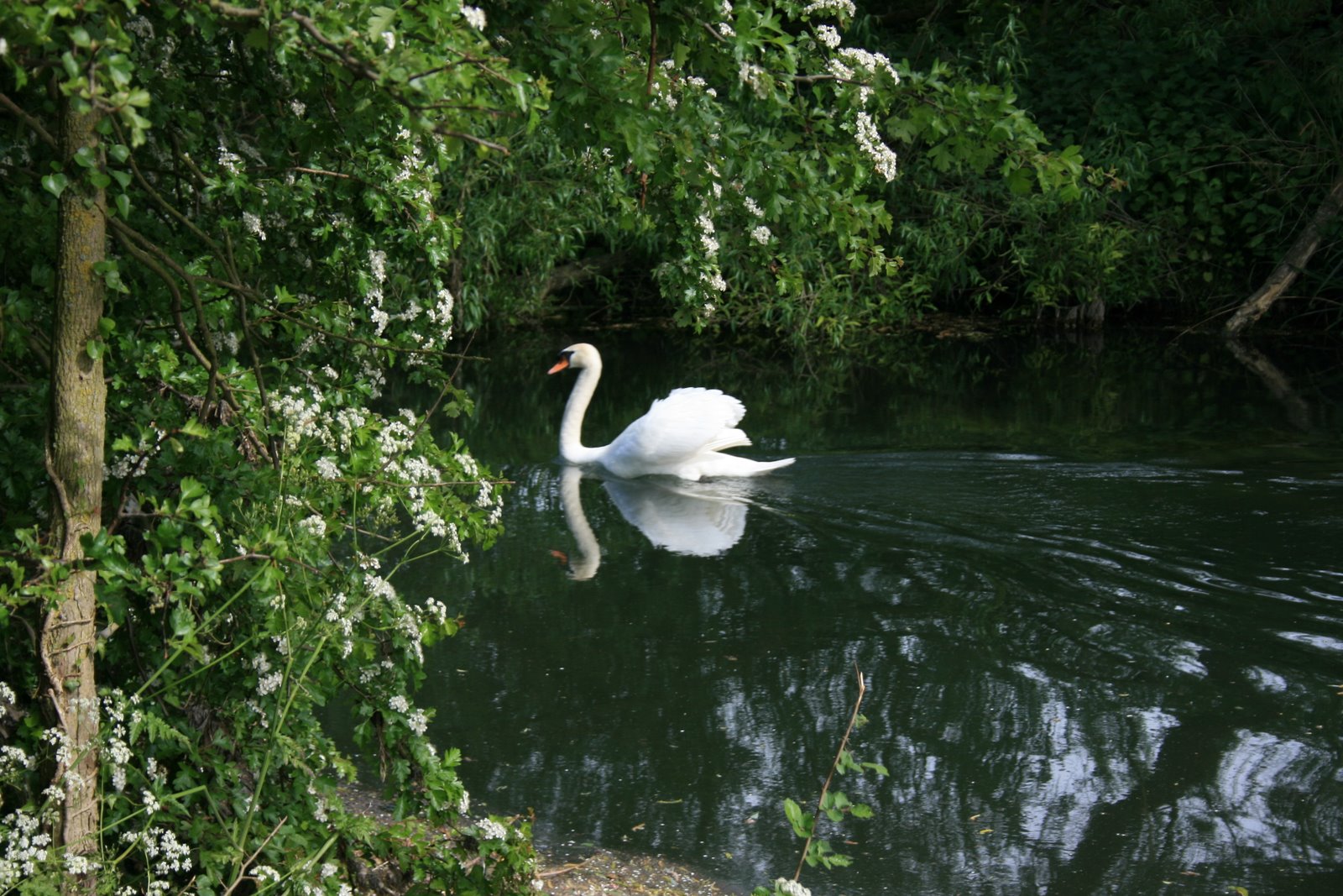 [IMG_8486.JPG]