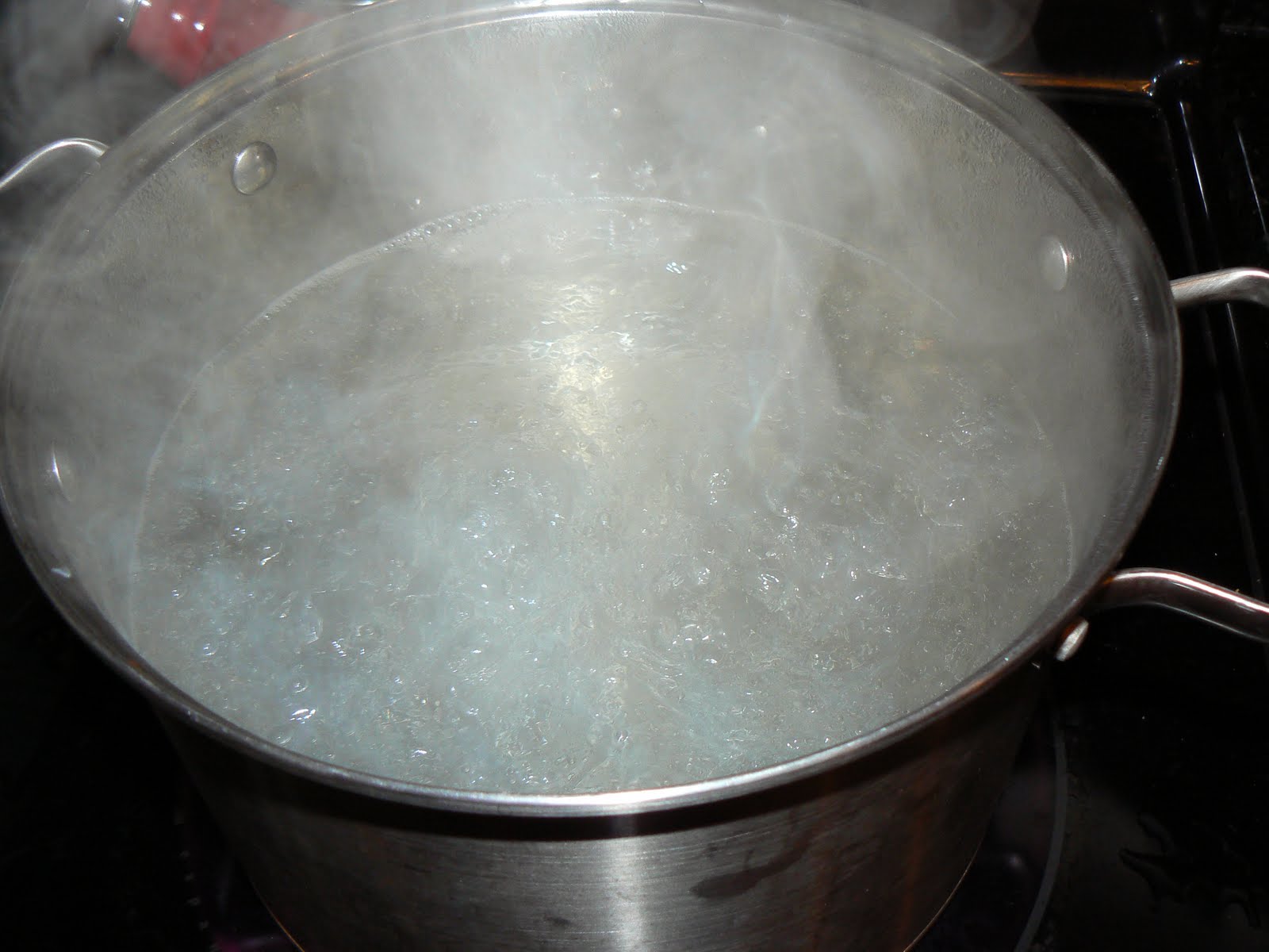 Navigating the Green Sea Freezing Squash