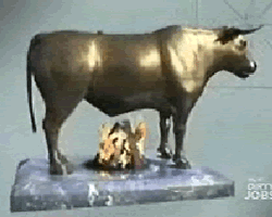 What is a brazen bull?