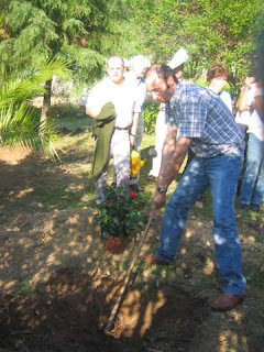 Preparando o local...