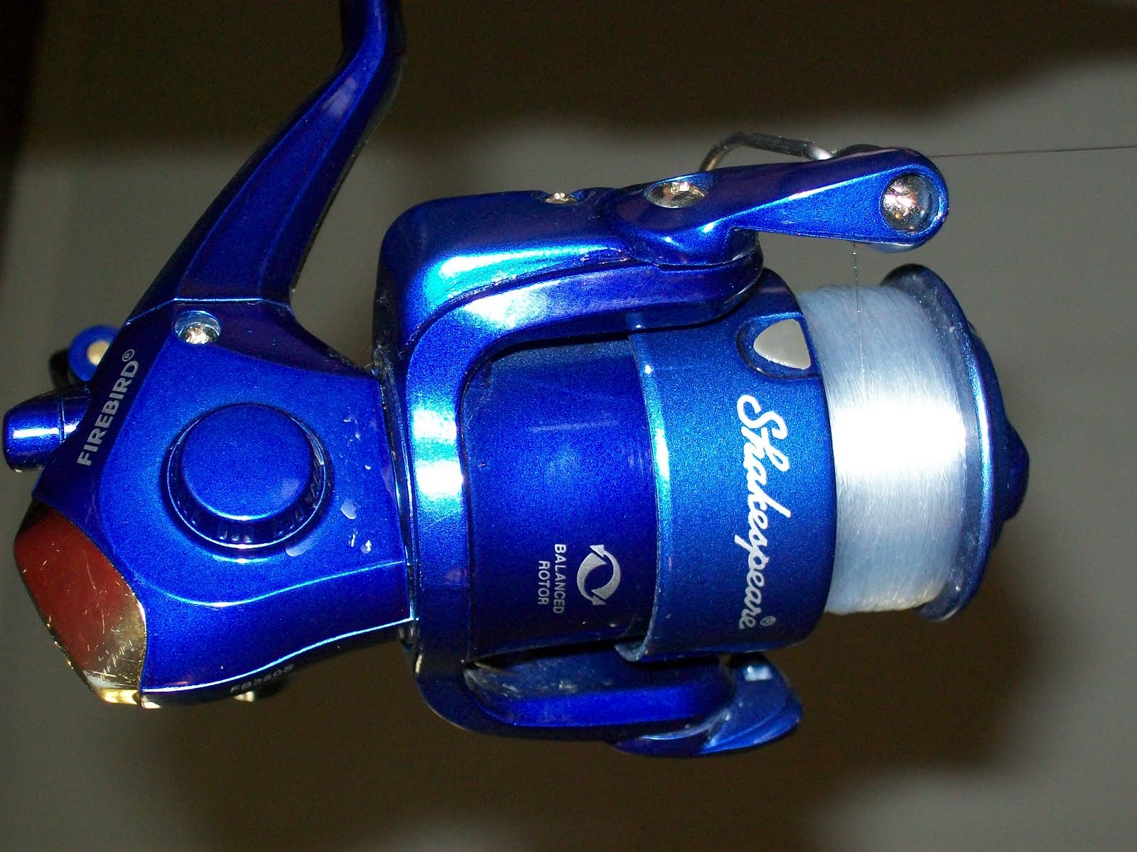 shakespeare firebird rod and reel