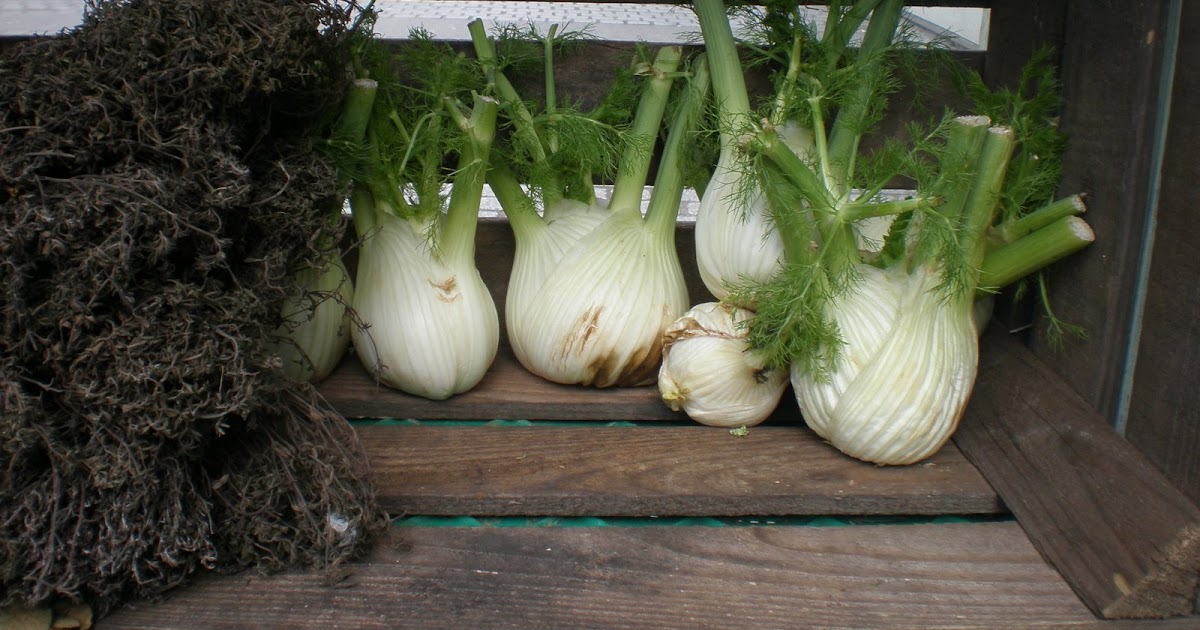 beste�nin naneleri rezeneli bulgur pilavı