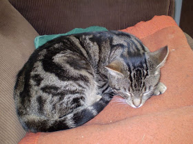 Wir Wohnen Im Neuen Haus Marz 2010