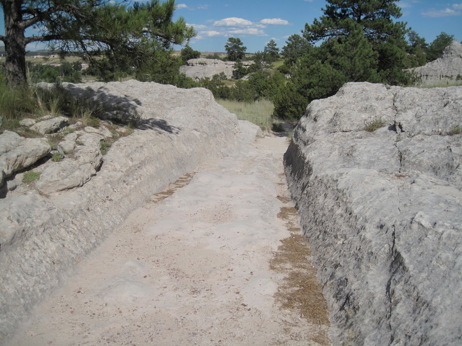 bigblueglobe: The Oregon Trail