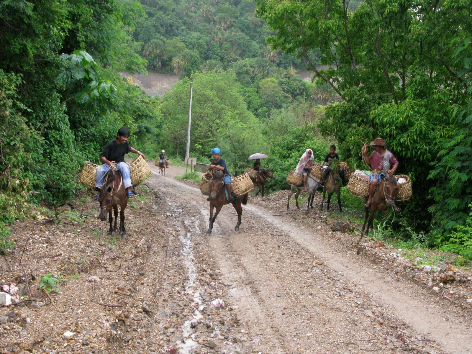 brommel On a rural road