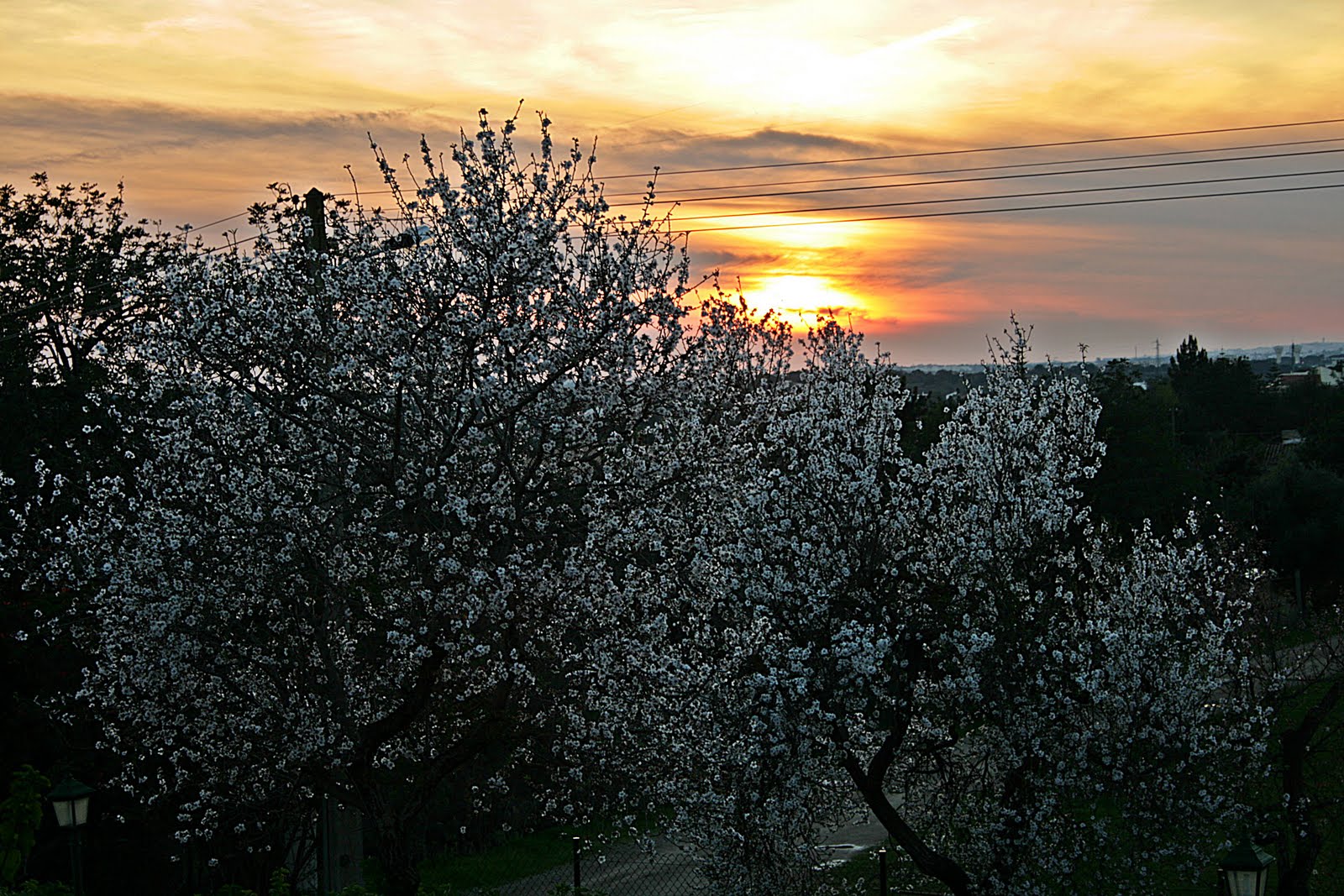 [IMG_5698.JPG]