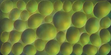 [securedownload.jpeg]